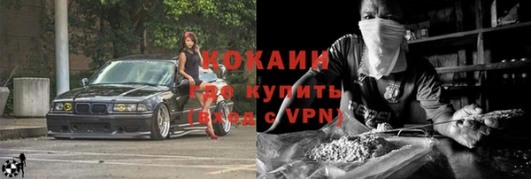 хмурый Арсеньев