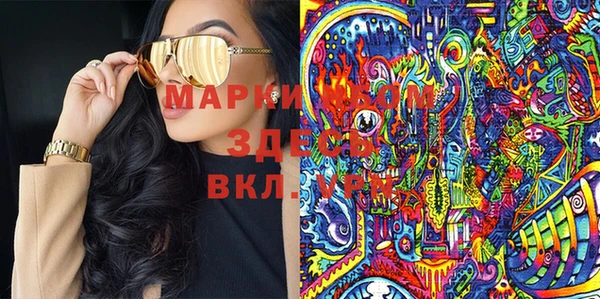 хмурый Арсеньев