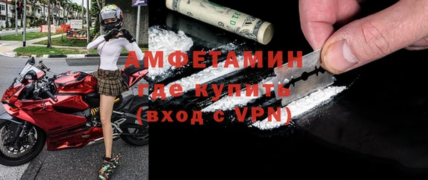 ГАЛЛЮЦИНОГЕННЫЕ ГРИБЫ Аркадак